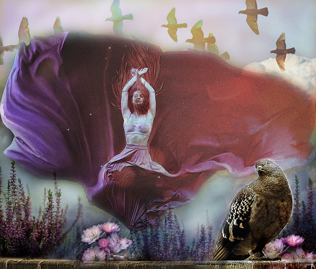 篮球NBA全明星投票球迷参与热情高