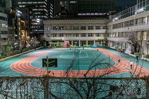 先的赢